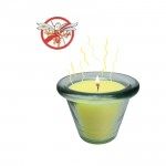 Hacer Vela Anti Mosquitos