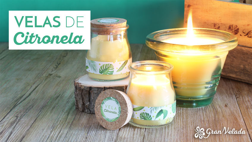 Cera vegetal para hacer velas en frasco. ¡Muy fácil de usar!