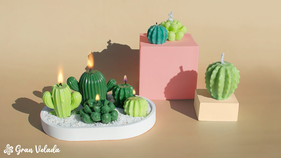 Kit fabricación de velas caseras - Cactus
