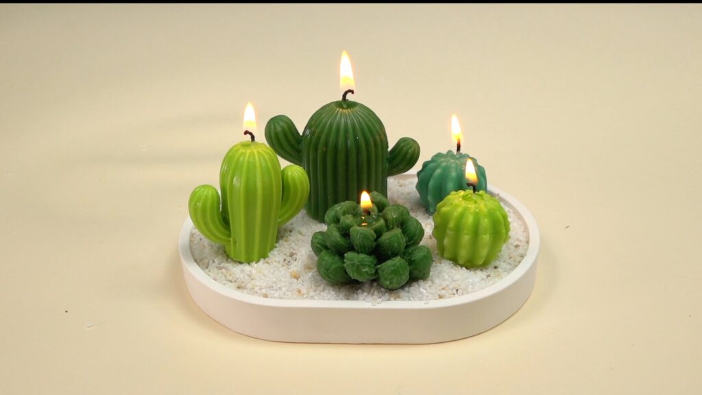 Moldes Silicona Velas Cactus Suculentas Plantas Cera Resina